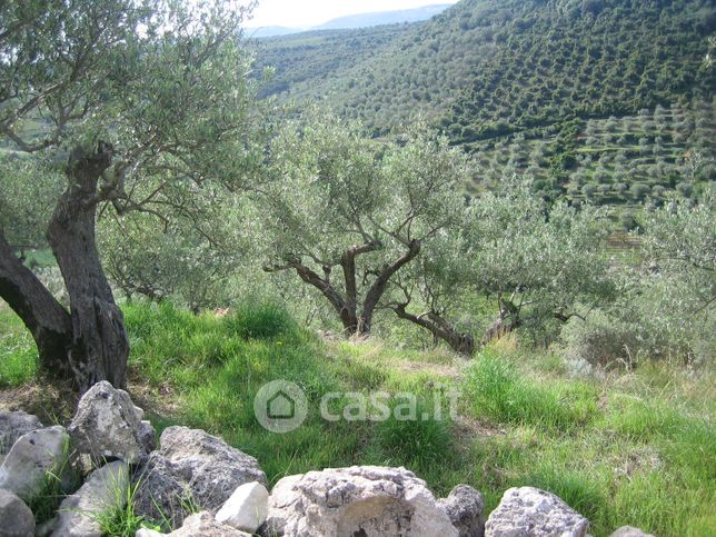 Terreno agricolo in commerciale in Sa Pala de S’Iscala