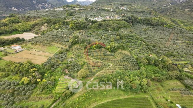 Terreno agricolo in commerciale in Località Ceole