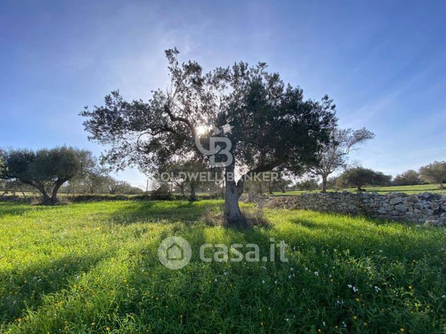 Terreno agricolo in commerciale in Contrada Catteto