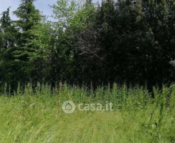 Terreno agricolo in commerciale in Strada Terraglio