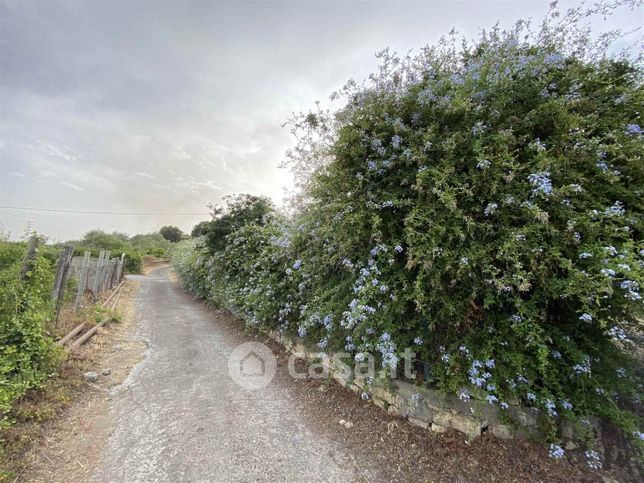 Terreno agricolo in commerciale in 
