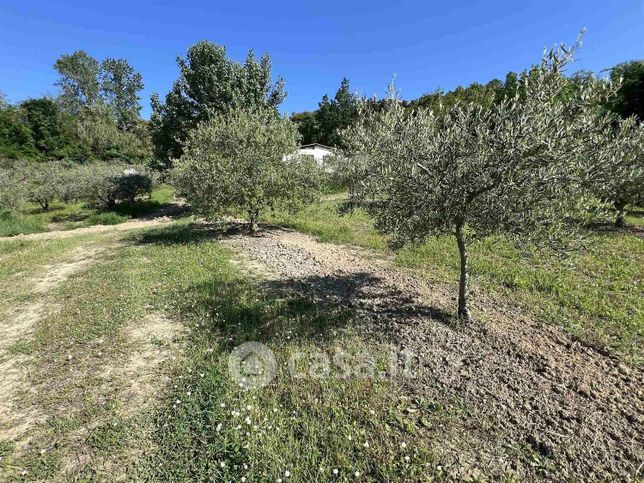 Terreno agricolo in commerciale in 