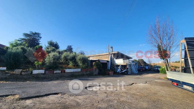 Terreno edificabile in residenziale in Via dei Guinigi 88