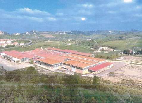 Terreno agricolo in commerciale in Via del Vallone