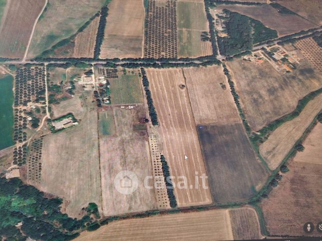 Terreno agricolo in commerciale in Strada Statale 291 della Nurra 291