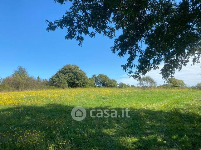 Terreno agricolo in commerciale in Via del Melo