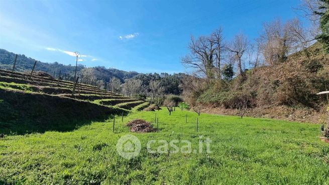 Terreno agricolo in commerciale in 