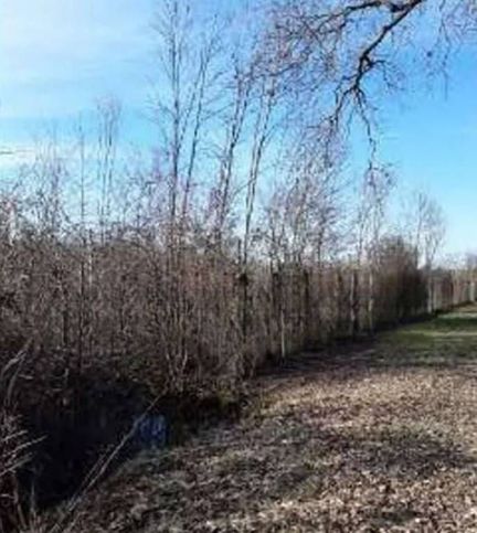 Terreno edificabile in residenziale in Strada Campagna Piccola Sud