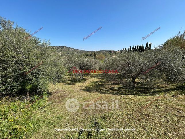 Terreno agricolo in commerciale in Strada Raiata 3