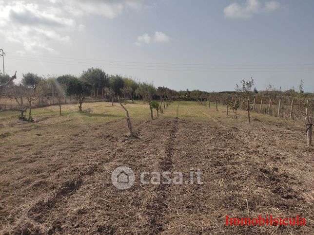 Terreno agricolo in commerciale in Via dello Zafferano