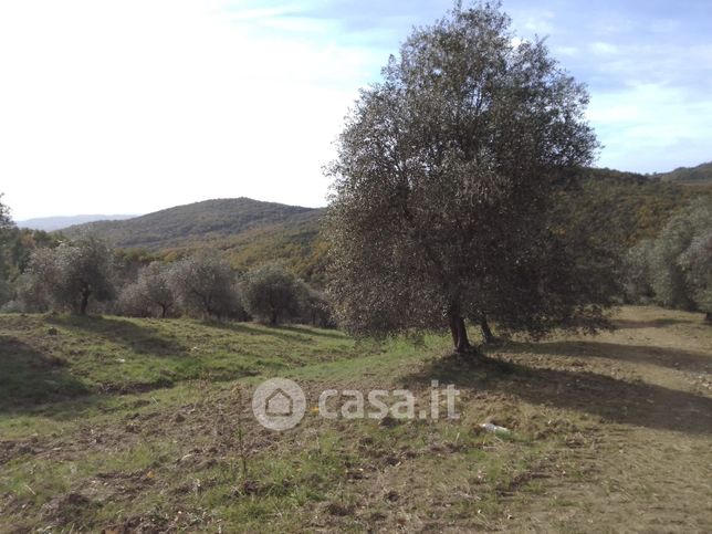 Terreno agricolo in commerciale in Via Casalone 55