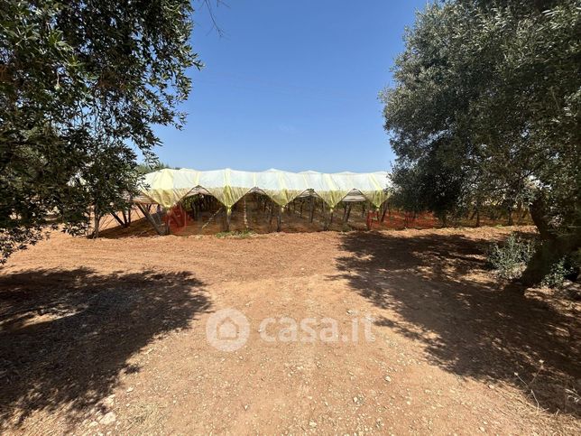 Terreno agricolo in commerciale in Contrada scasserba