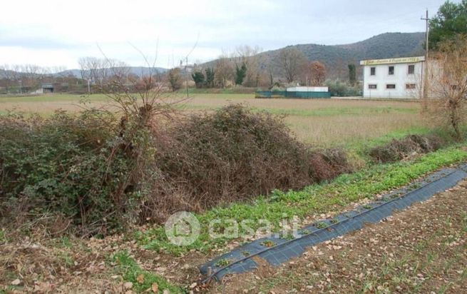 Terreno agricolo in commerciale in Via Johann Gutenberg