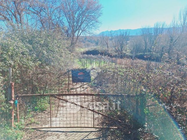 Terreno agricolo in commerciale in Via Madonna delle Grazie