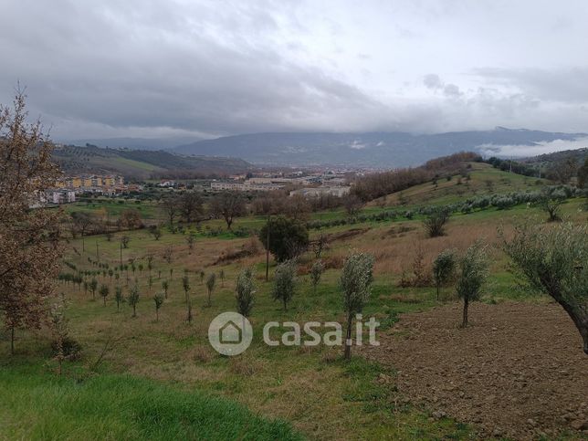 Terreno agricolo in commerciale in Via pianette