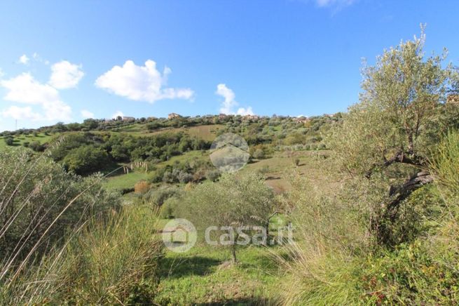 Terreno agricolo in commerciale in Via Fuonti