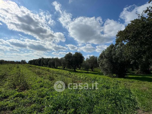 Terreno agricolo in commerciale in Contrada Piane Sant'Angelo 1