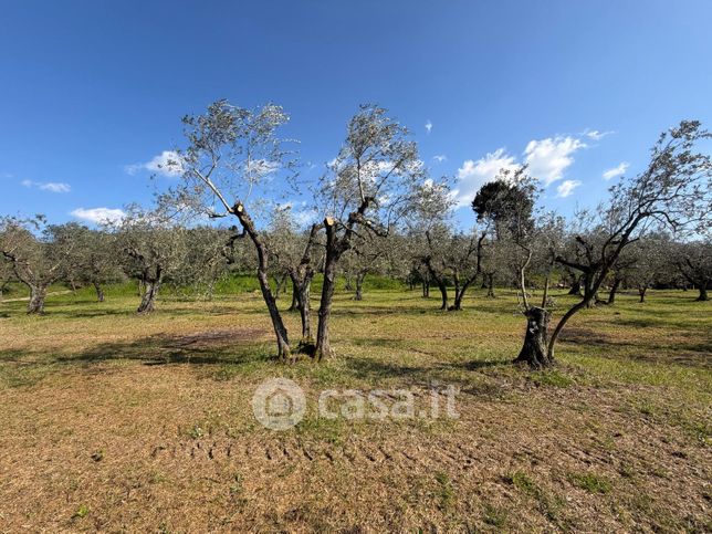 Terreno agricolo in commerciale in Via Faentina 428
