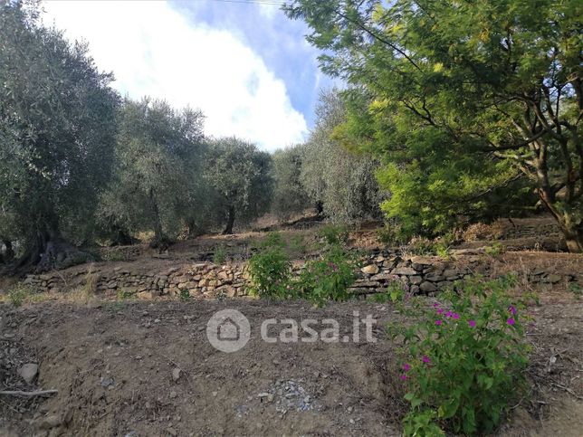 Terreno agricolo in commerciale in Strada Provinciale 59