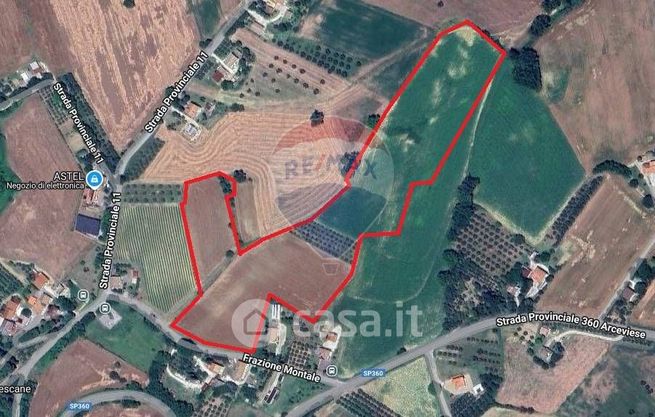 Terreno agricolo in commerciale in Frazione Montale 155