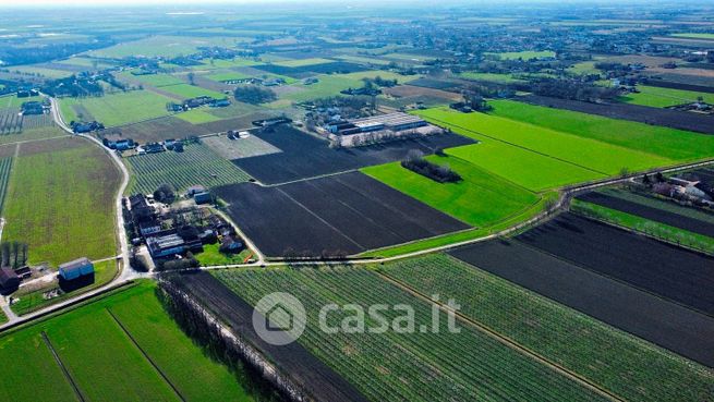 Terreno agricolo in commerciale in Via Gazzoli 113