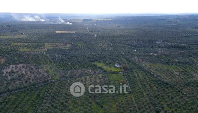 Terreno agricolo in commerciale in Strada Vicinale Capo Casale Salvetta