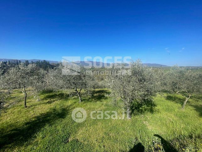 Terreno agricolo in commerciale in