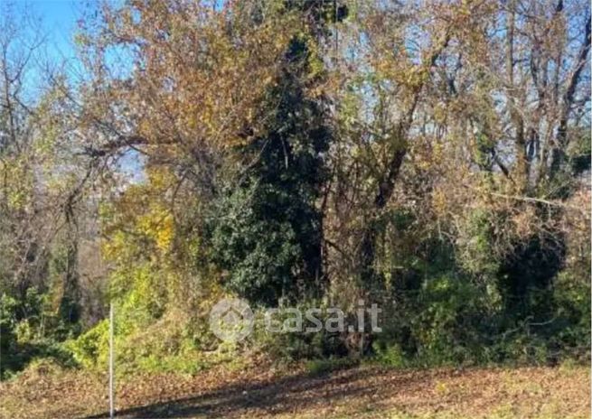 Terreno agricolo in commerciale in Via Breganzola