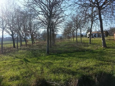 Terreno agricolo in commerciale in Via della Madonnina