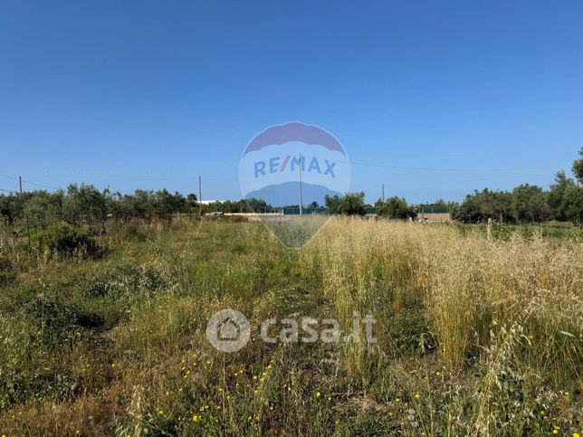 Terreno agricolo in commerciale in Contrada Scaro