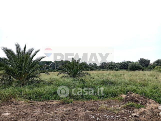 Terreno agricolo in commerciale in Via Isola