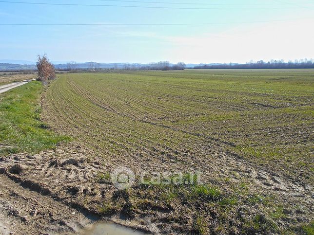 Terreno agricolo in commerciale in Strada Provinciale 63