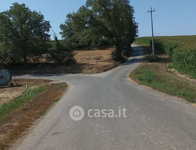 Terreno agricolo in commerciale in GENZANO