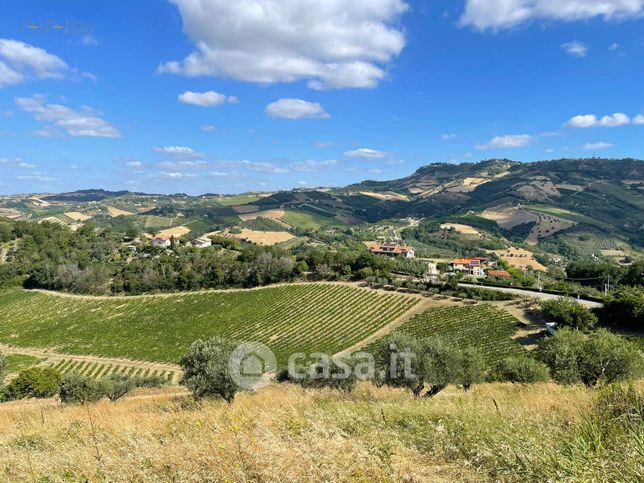 Terreno agricolo in commerciale in Contrada Petrella