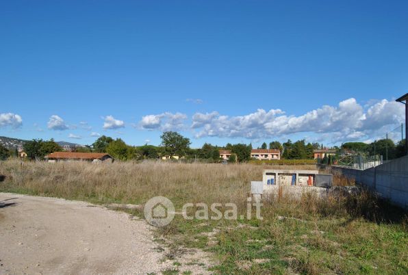 Terreno agricolo in commerciale in Strada Settevalli
