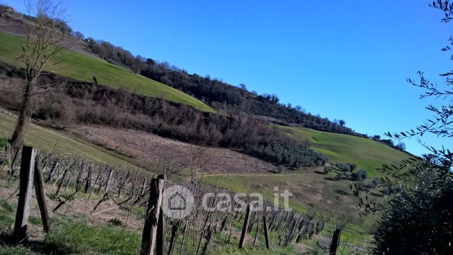 Terreno agricolo in commerciale in Vicolo degli Archi