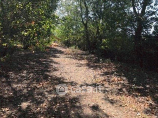 Terreno agricolo in commerciale in Strada Cascine Barbavara