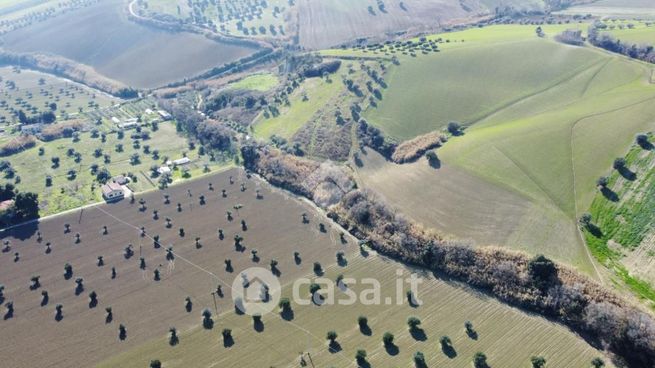 Terreno agricolo in commerciale in 