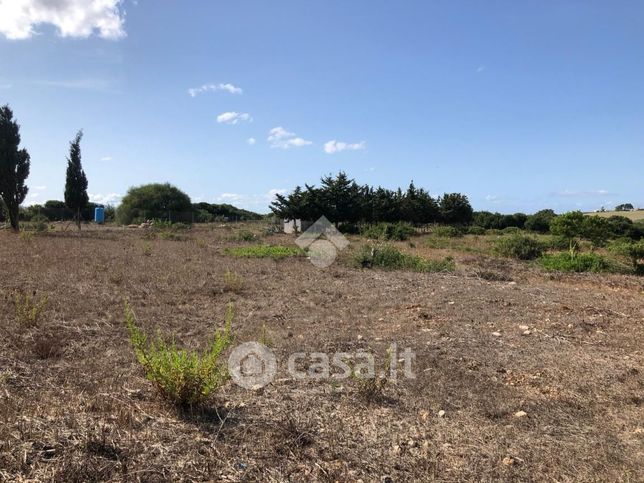 Terreno agricolo in commerciale in Via Mauro Manca