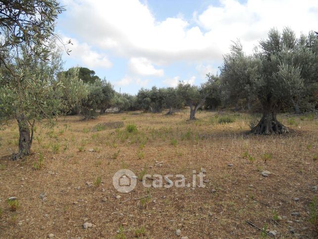 Terreno agricolo in commerciale in Contrada Rovetto
