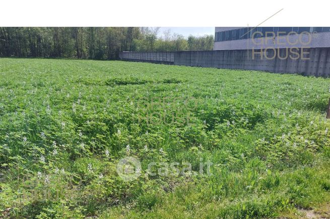 Terreno agricolo in commerciale in Via dei Mughetti 4