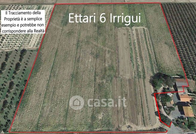 Terreno agricolo in commerciale in Strada Provinciale del Pollino