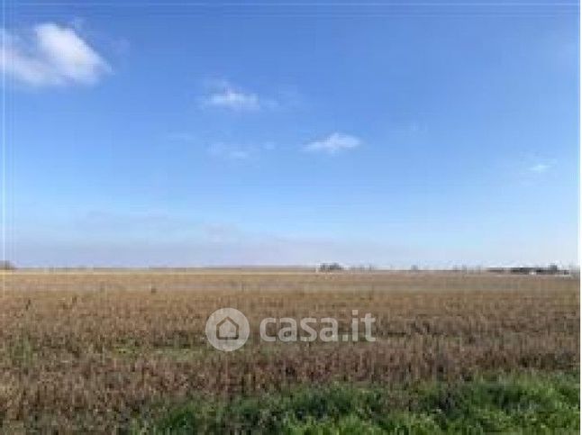 Terreno agricolo in commerciale in Via Collarea 9