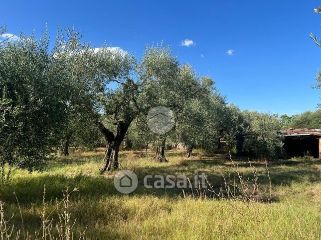 Terreno agricolo in commerciale in Via Civita Castellana