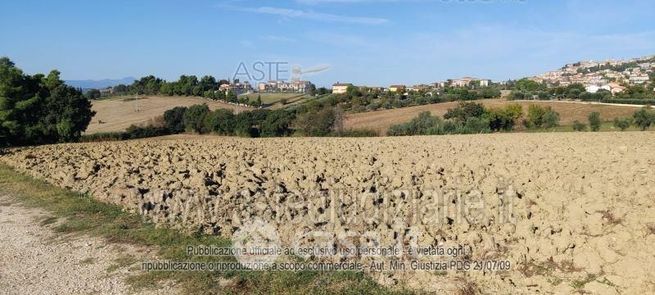 Terreno agricolo in commerciale in 