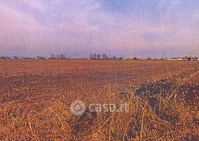 Terreno agricolo in commerciale in Via Triestina