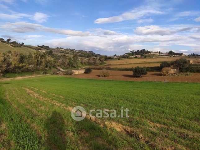 Terreno agricolo in commerciale in Strada Provinciale 34