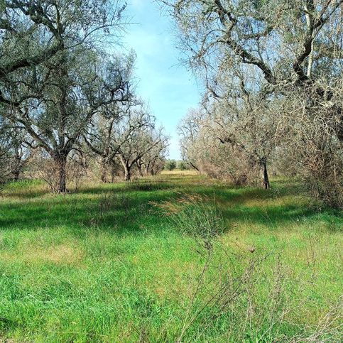 Terreno agricolo in commerciale in Via Nociglia