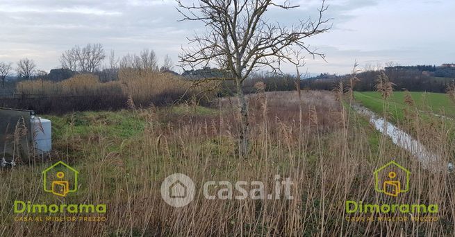 Terreno agricolo in commerciale in Via del Puntone