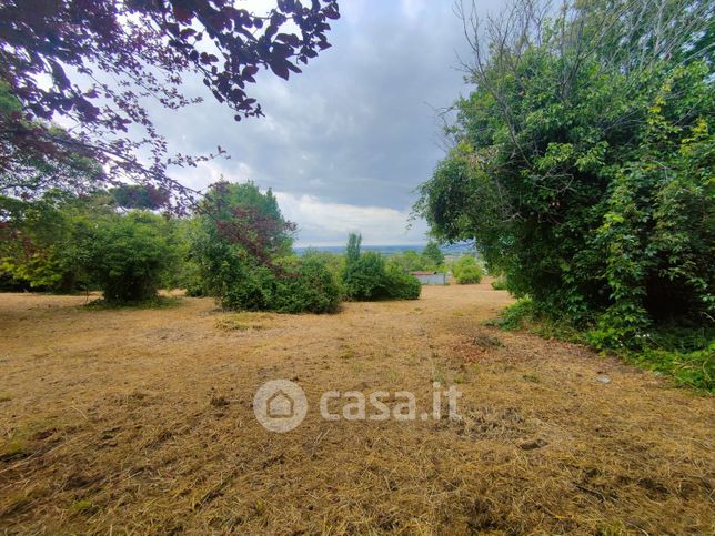 Terreno agricolo in commerciale in Via Mater Dei